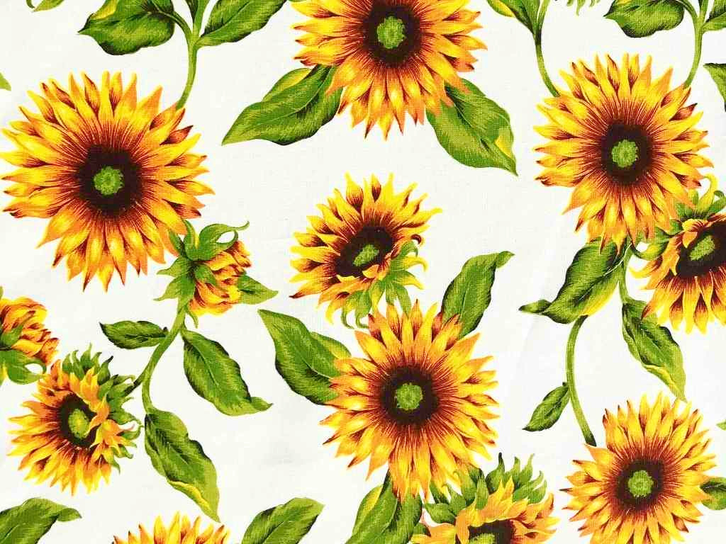 Sunflower Fields Square Cotton Tablecloth 140cm x 140cm Italian Designed Australian Made